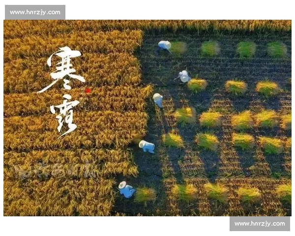 寒露时节的气候变化与农事安排:秋季收获与防寒工作的双重挑战